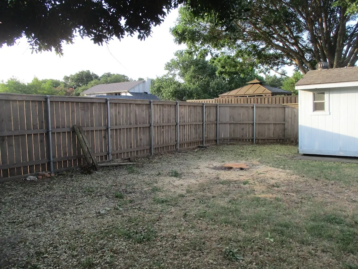 Cleared yard after professional tree removal in Pittsburg